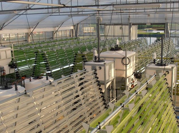 Bronkhorst流量控制器用于Thomas More應(yīng)用科學(xué)大學(xué)藻類培植過程中的二氧化碳測量和控制。 藻類培植的CO2供應(yīng)控制